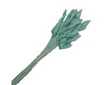 Сухоцветы "Лагурус", H60 см, набор (60 шт) Голубой (H-60, Голубой) Сухоцветы "Лагурус", H60 см, набор (60 шт) Голубой (H-60, Голубой)