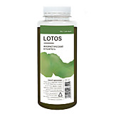 Краска для живых цветов, 0,3 л, Lotos Фисташковый, (0,3, Фисташковый)